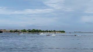 Day 2 Semi Final Race 1 Pantai Losari - Lomba Balap Perahu Katinting Pantai Losari Makassar