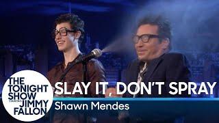 Slay It Dont Spray It with Shawn Mendes