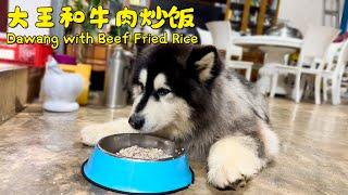 Dawang with Beef Fried Rice  大王和牛肉炒饭【阿盆姐家的大王】