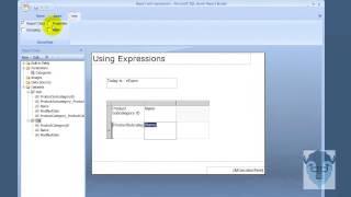 55005  4 Report Builder 3 0 and Expressions