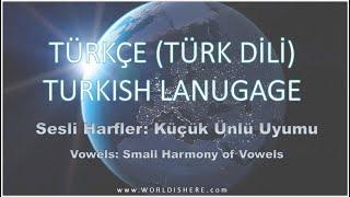 Lets Study Turkish -009 Harmony of Vowels 2 In English