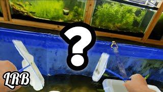 Whats Inside Plants and Fish? Big Pond Breakdown