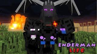 Monster School True Story Enderman & ZombiePigmans Life Minecraft Animation