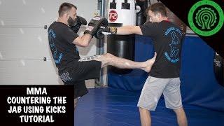 MMA Countering the Jab using Kicks Tutorial