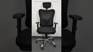 Horizon Ergon Heart Premium Ergonomic Mesh Chair