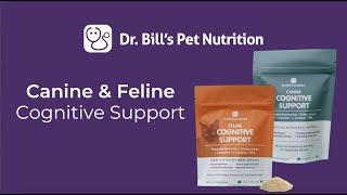 Canine & Feline Cognitive Support  Dr. Bills Pet Nutrition