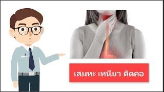 12 วิธีแก้ เสมหะเหนียวติดคอ  วิธีแก้เสมหะในคอแบบง่ายๆ