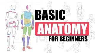 The First EASY Step To Draw Bodies For Beginners