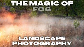 Instant Fog Changes Everything Landscape Photography OM System OM-1MKII
