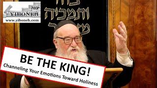 Rabbi Yitzchak Breitowitz Channeling Your Emotions Toward Holiness