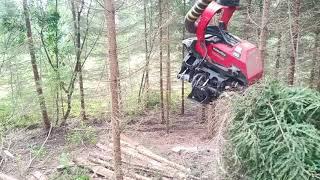 Komatsu 901xc first thinning spruce forest