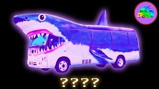 6 SHARK BUS Song Sound Variations & Sound Effects in 42 Seconds