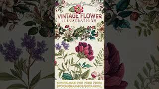 FREE Download 50 Vintage Flower Illustrations 