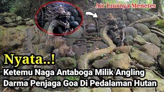 NYATA  Ketemu Ular Naga Antaboga Milik Angling Darma Penjaga Goa Misterius Di Pedalaman Hutan