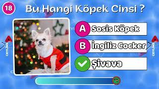 Köpek Bilgi Sınavı  Bu Hangi KÖPEK CİNSİ   Köpek Videoları BULMACA 