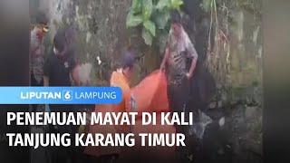 Geger Penemuan Mayat di Kali Tanjung Karang Timur  Liputan 6 Lampung