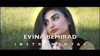Evina Bemirad by Ari M & Ali Shaker