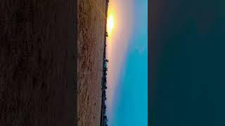 Sunset time in my village  #viral #trending #sunset #evening #status #nature