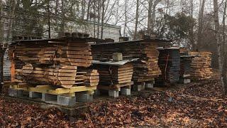 Moving Logs & Massive Wood Slabs - Drying Lumber