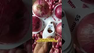 All size onion available #qatar  #export #harwesting  #youtube  #subscribe  #dubai #netherlands #