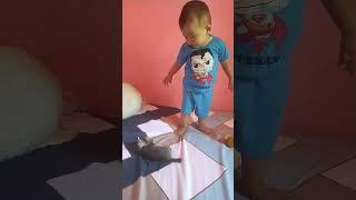 rafka maen ma kucing