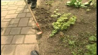 Gartentipps lästiges Unkraut verbannen