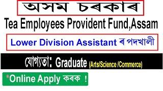 Assam Tea Employees Provident Fund Organization Recruitment 2021  Graduate job in Assam