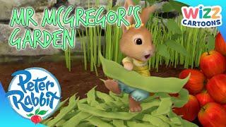 @OfficialPeterRabbit - Mr McGregors Garden  Cartoons for Kids  @WizzCartoons