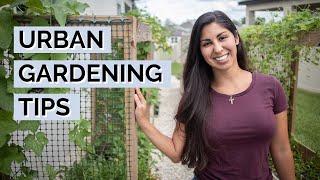 Urban Gardening Tips  Urban Vegetable Gardening for Beginners