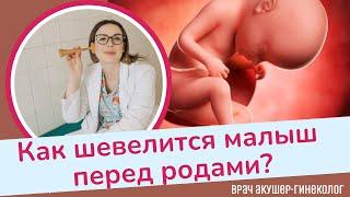 Шевеление плода перед родами  Виктория Матвиенко