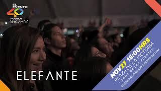 EVENTO 40 ELEFANTE