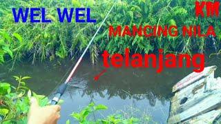 Mancing mania mancing nila liar                            #mancingliar#mancingnila#mancingdisungai