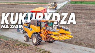 17 Ton Z Hektara  Kukurydza Na Ziarno 2024 GR Łukasiak Massey Ferguson 8740S & New Holland Cx6.80