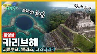 걸어서세계속으로Full 카리브해의 아름다운 자연 속으로 Trip to Caribbean Sea KBS 20200425