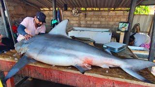 Wow Nice The Day of Cutting the Huge Shark in the Life of the Sri Lankan Village Street Fish Market