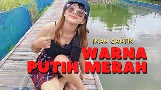 DAPAT IKAN CANTIK PUTIH MERAH WARNANYA