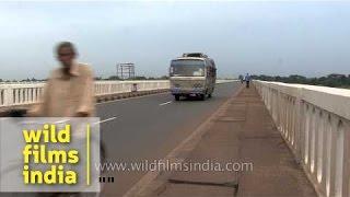 Mahanadi Road Bridge - Cuttack Odisha