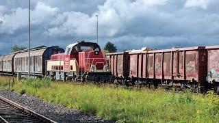 Güterverkehr auf der DonautalbahnAblachtalbahn - der SWEG-Einzelwagenverkehr  Güterzüge im Fokus