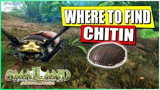 Where to Find Chitin in Smalland