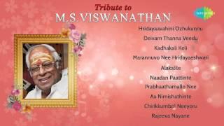 Best Malayalam Film songs of MS Viswanathan  Tribute To MSV  Hit Songs Jukebox