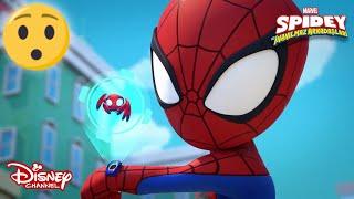 Kayıp Eşya Bürosu  Marvel Spidey ve İnanılmaz Arkadaşları  Disney Channel TR