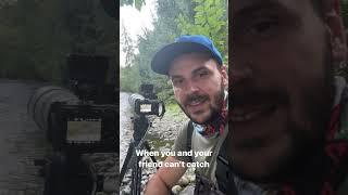 Black bears fishing in the river