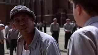 The Shawshank Redemption  Andy and Red  whatsapp status