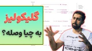 گلیکولیز با کدوم مسیرها در ارتباطه  Glycolysis  بیوشیمی