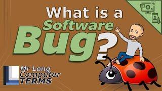 Mr Long Computer Terms  What is a Software Bug?