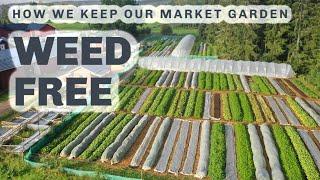 WEED FREE MARKET GARDENING Our no dig approach