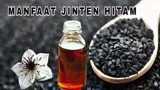 MANFAAT JINTEN HITAM UNTUK KESEHATAN