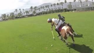 Polo - The Gentlemans Sport