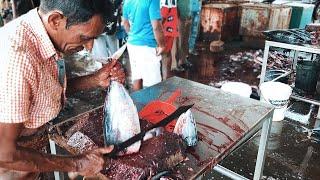 Fish Cutting Skills Sri Lanka  Tuna Fish Fastest Cutting #fishcutting #tuna #tunacutting