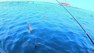 FISHING LURE  MANCING KALI INI KETEMU SPOT ISTIMEWA KALIAN WAJIB COBA MANCING DI SINI PULAU SERIBU